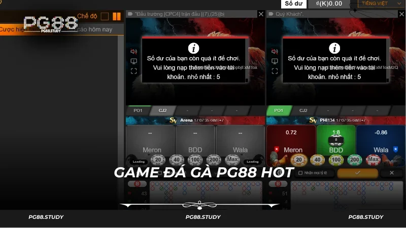 Đá gà VS388 quen thuộc với nhiều tay chơi chuyên nghiệp