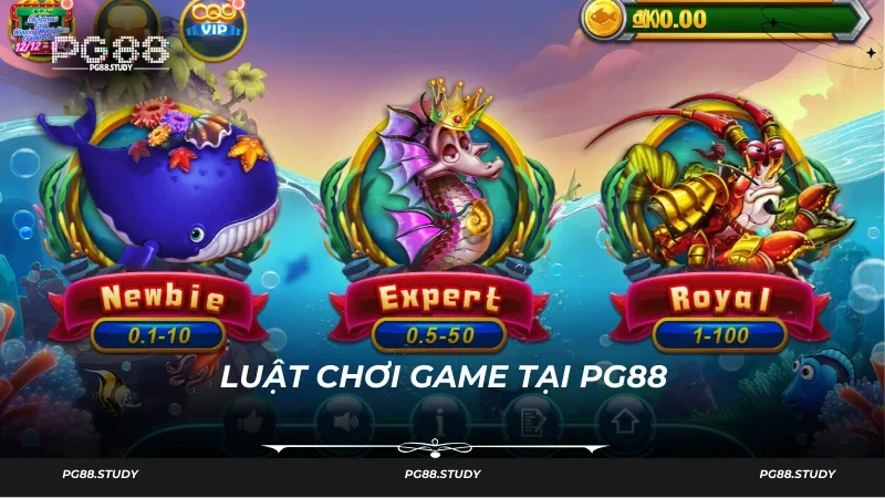 Súng và đạn trong game nhiều để người dùng thay đổi