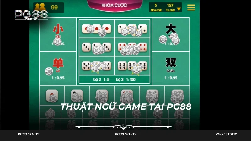 Những thuật ngữ ưa dụng trong Xí Ngầu PG88